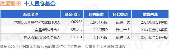 7月9日胜蓝股份涨20.02%，大成360互联网+大数据100A基金重仓该股