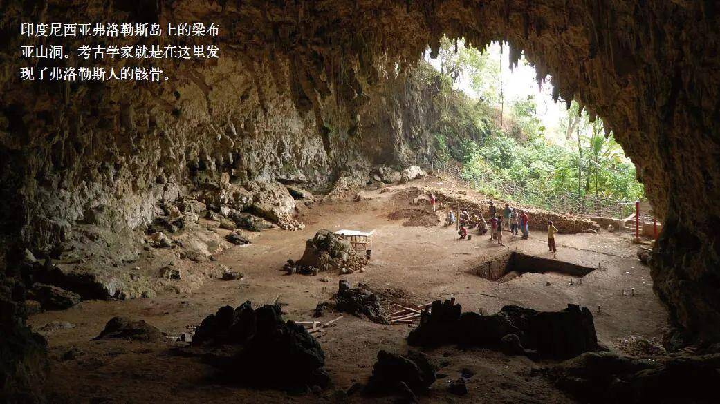 现实中消失的“霍比特人”