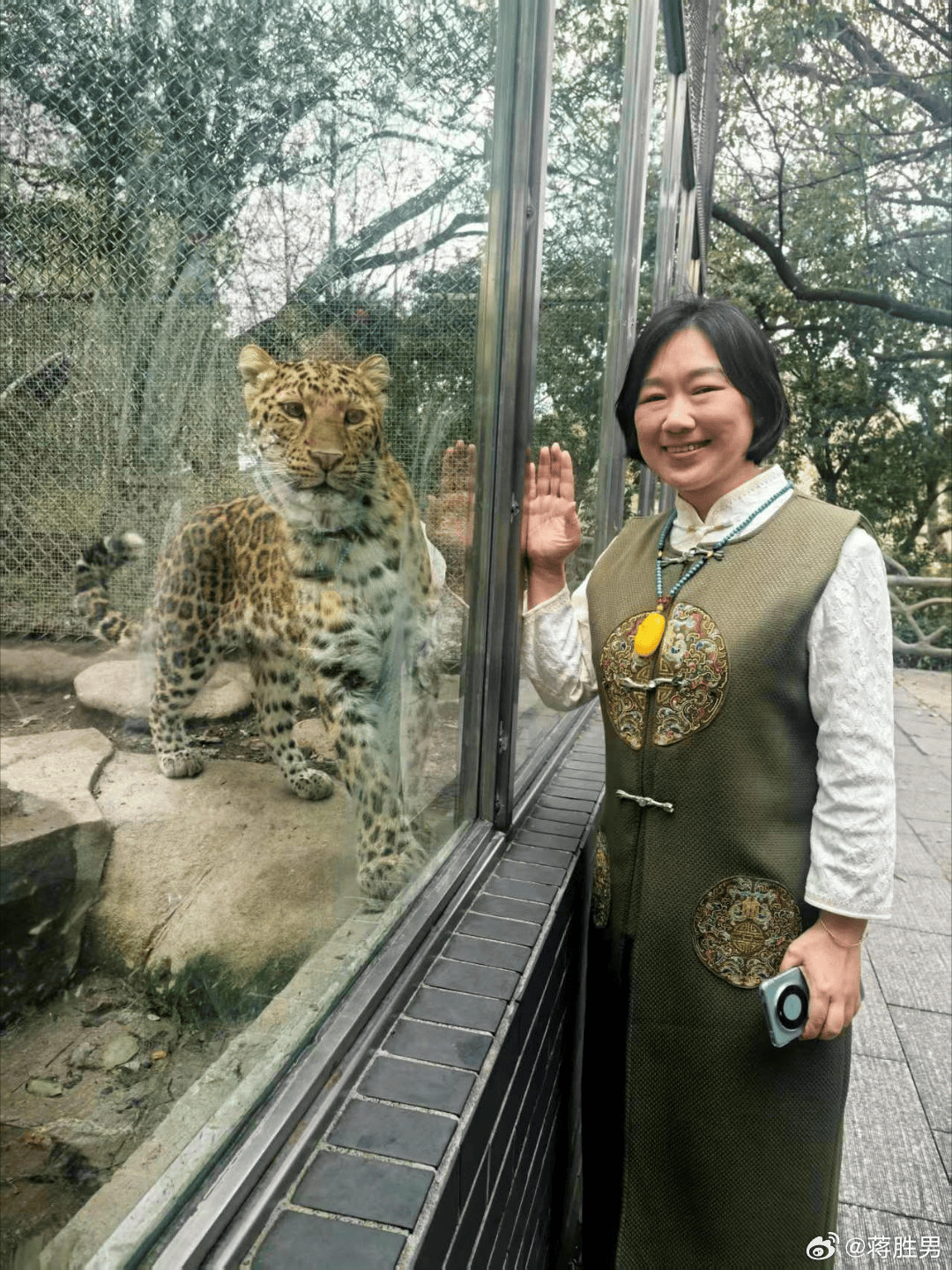 蒋胜男辟谣“建议对未婚男性停发工资”